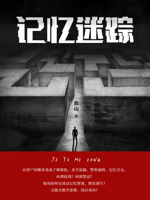 Title details for 记忆迷踪 by 启山 - Available